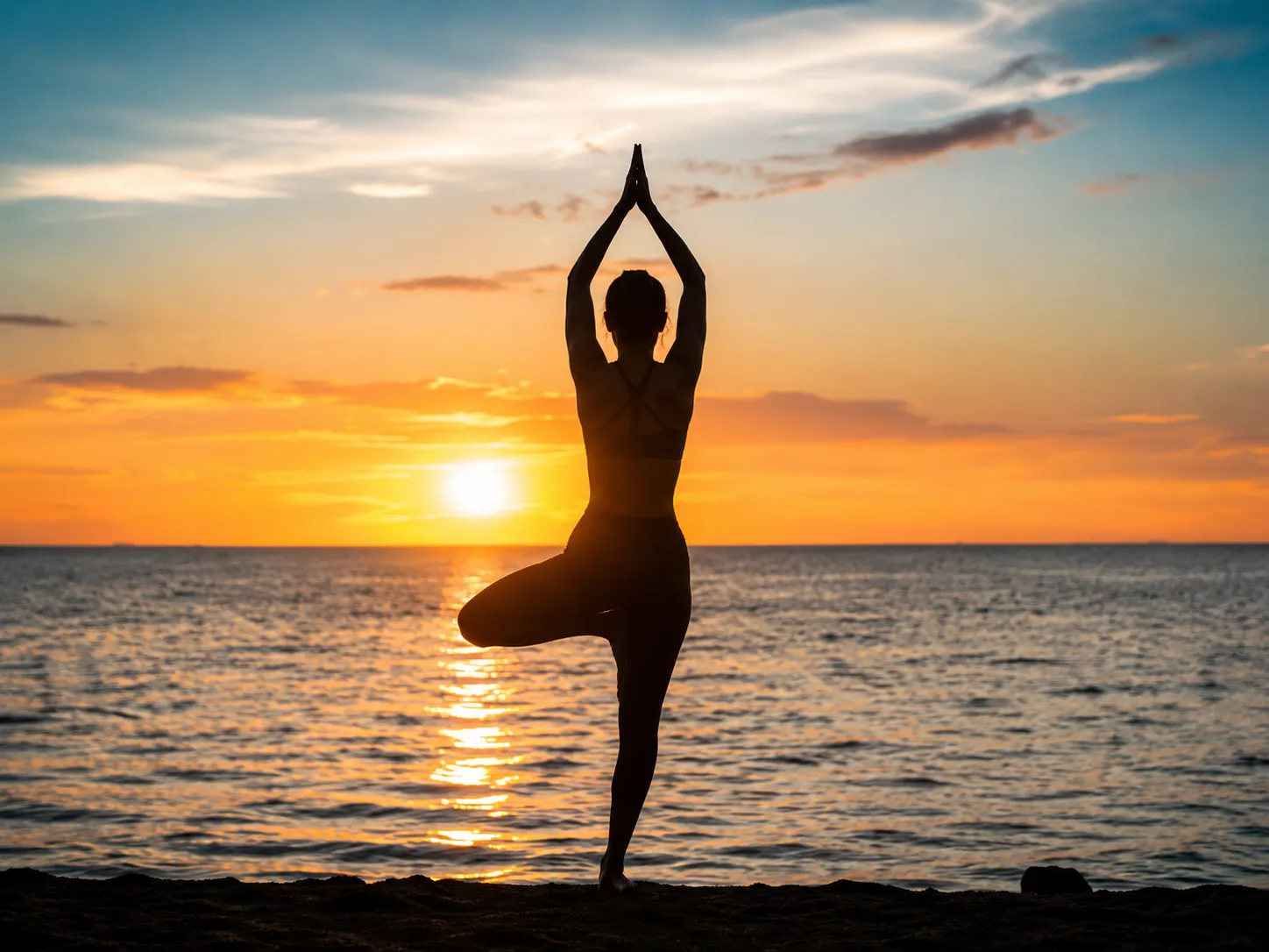 HealNova Health and Wellness AI healthcare companion